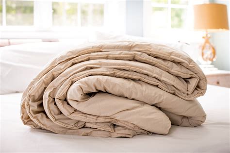 Organic Cotton Pillows - Made in USA - American Blossom Linens