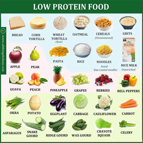 Protein & CKD Diet: Part 1 - All Things Kidney ~ Official | Kidney ...