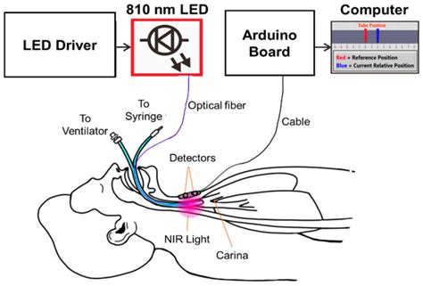 ETT Placement | Biophotonics Lab // Joint Department of Biomedical ...