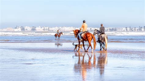 5 Best Beaches in Morocco You Need to Visit | Intrepid Travel Blog