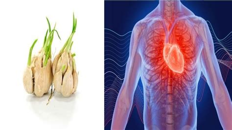 Garlic For High Blood Pressure: Here's How you should Consume It