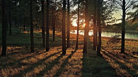 Kaibab Lake Campground | Arizona Highways