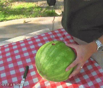 Watermelon Inside A Watermelon Gif