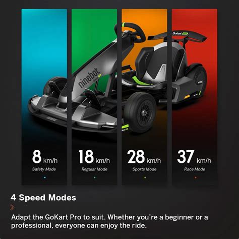 Segway Ninebot Go Kart Pro Electric Scooter - Grey