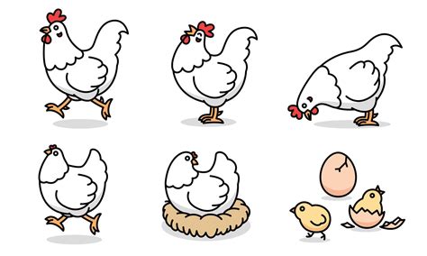 Cartoon drawing of white chicken family, vector 5017974 Vector Art at ...