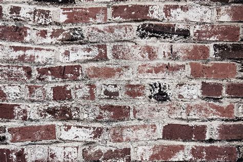 Free Brick Wall Texture for Photoshop 17