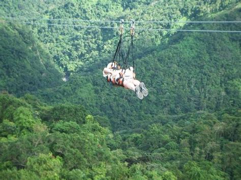 36 best images about Ziplining Puerto Rico on Pinterest | Parks ...