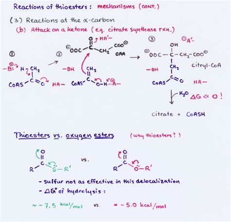 acetyl coa thioester bond