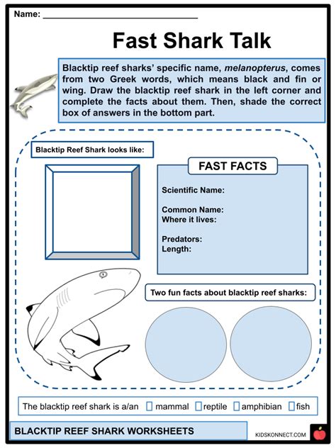 Blacktip Reef Shark Worksheets & Facts | Anatomy, Habitat, Diet