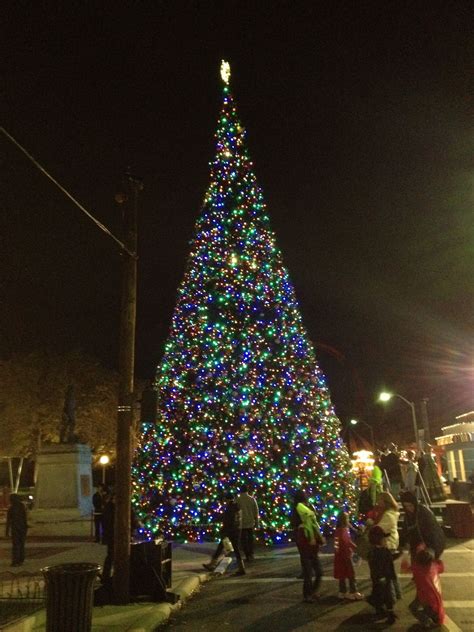 Christmas Tree at Six Flags San Antonio | San antonio, Christmas tree ...