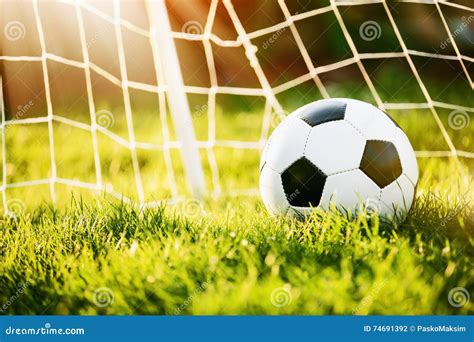 Soccer ball in goal stock photo. Image of soccer, field - 74691392