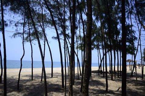 Peaceful beach - Review of Kuzhupilly Beach, Kochi (Cochin), India ...