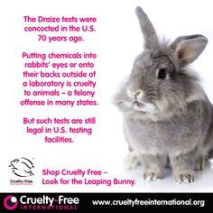 1000+ images about Animal Testing Facts on Pinterest | Cruelty free ...