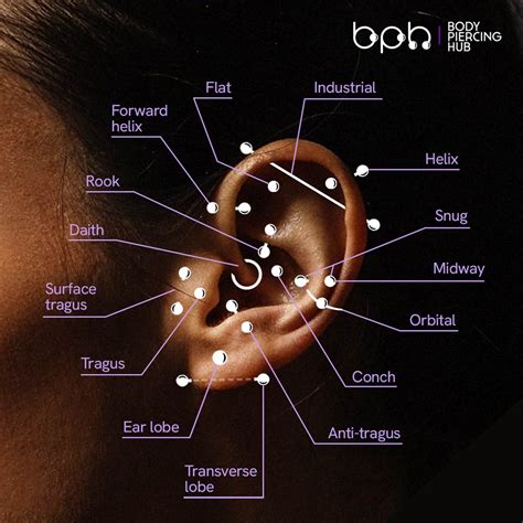 Ear Piercings Guide: Names, Types & Charts (with Pictures) | Body ...