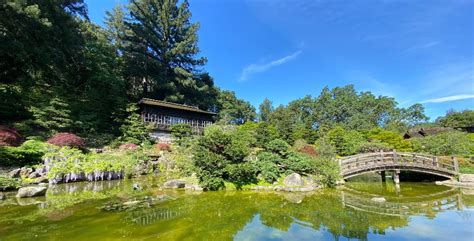 Hakone Gardens | Japanese Garden in Saratoga, California