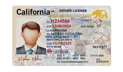 California drivers license template editable - kastashok