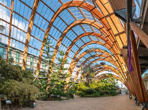 Sheffield Winter Garden - Attractions - Visit Sheffield