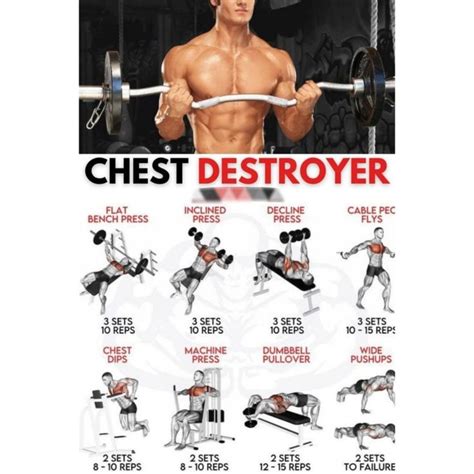 CHEST DESTROY EXERCISE PLAN | Dumbbell chest workout, Best chest ...