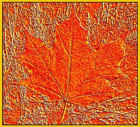 Autumn Maple Leaf Digital Art by Will Borden - Fine Art America