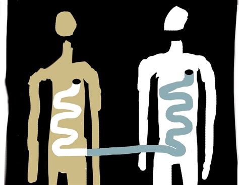 Fecal transplants being used to treat difficult C. diff cases ...