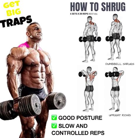 How to Do Dumbbell Shrug Proper Form, Technique | Video & Guide