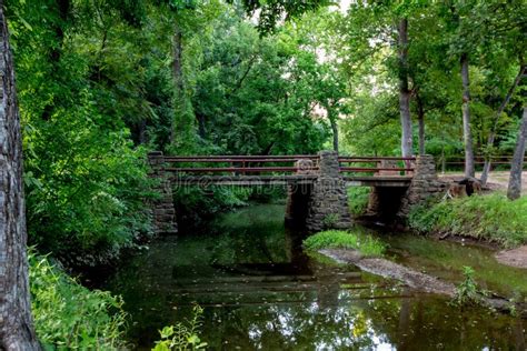 A Tranquil Spring Or Summer Wooded Nature Outdoor Scene. Stock Image ...