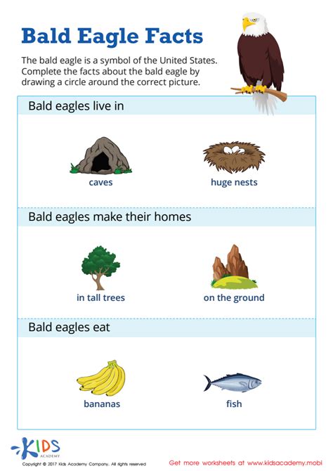 Bald Eagle Facts Worksheet: Free Printable PDF for Children