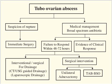 Tubo Ovarian Abscess Treatment