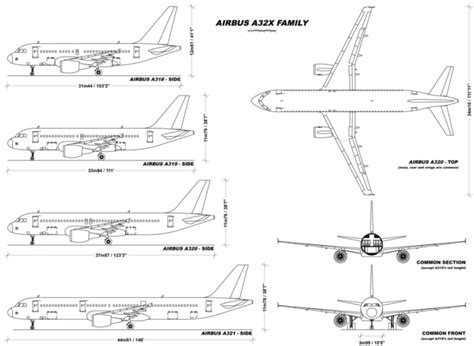 The Airbus A321 vs A320 - What Plane Is Best? - Simple Flying | Airbus ...