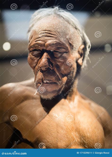 Reconstruction of the Head of Erectus Adult Man Editorial Photo - Image ...