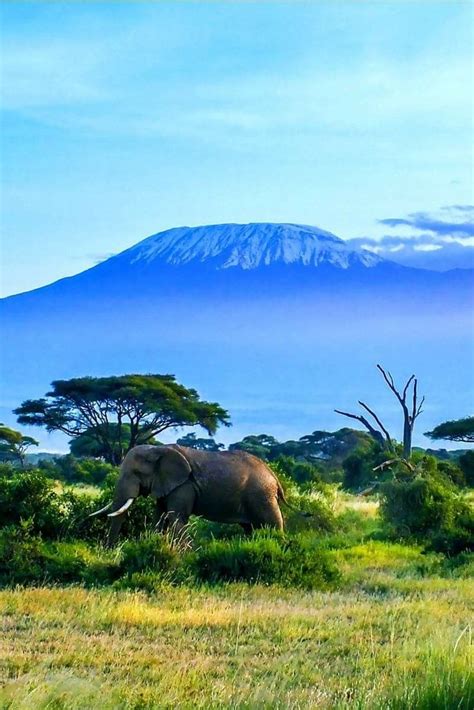 Kilimanjaro Mountain in Kenya, Africa