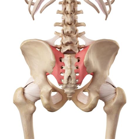 SI Joint Bone Marrow Edema and the Risk of Low BMD in AxSpA ...