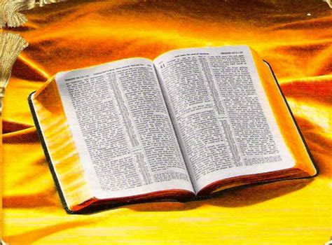 Reflexiones con Farvelo: El centro de la Biblia.