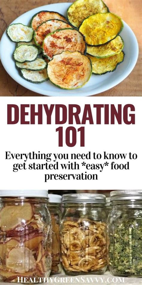 Dehydrating Food 101 ~ Preservation for Novices | HealthyGreenSavvy