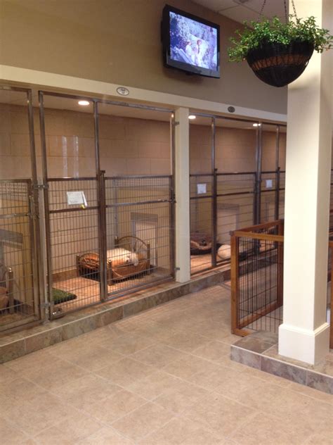 Dog and Large Animal Custom Enclosures - Midmark Corporation | Dog ...