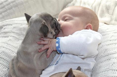 Kids baby pictures: cute baby sleeping with puppies