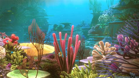 Coral Reef Backgrounds - Wallpaper Cave