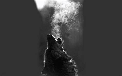 Wolf Howling Wallpapers Desktop - Wolf-Wallpapers.Pro | Desktop ...