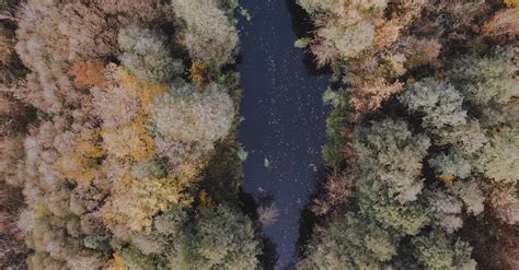 River in an Autumn Forest Free Stock Video Footage, Royalty-Free 4K ...