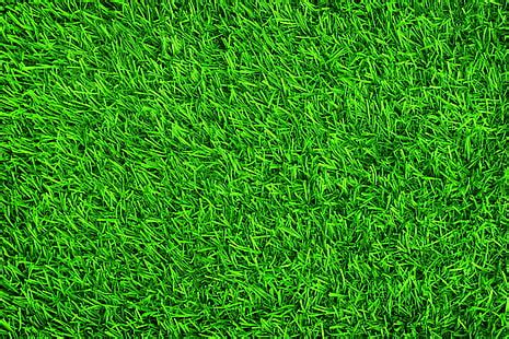 Green Grass Background Hd