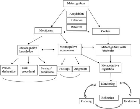 Frontiers | A questionnaire-based validation of metacognitive ...