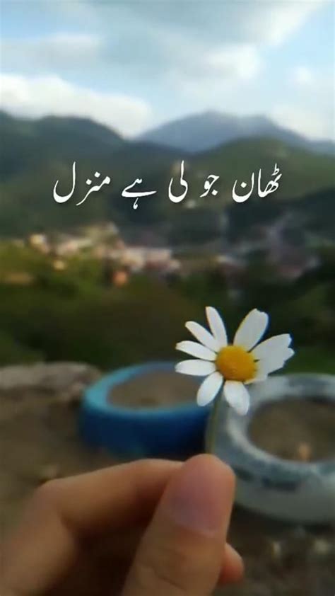 Urdu Quotes | Urdu Poetry | Hindi Quotes | Urdu Songs | Hindi Songs #15