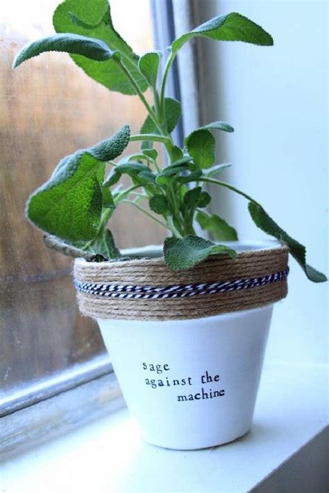 Most Creative Spring Puns (9) | Plant puns, Plants, Garden