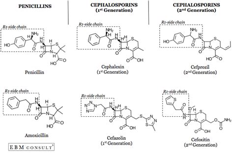 Penicillin and Cephalosporin Cross-Reactivity and Risk for Allergic ...