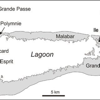 Outline map of Aldabra Atoll indicating the fossil localities discussed ...