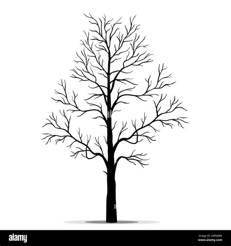 Tree silhouette vector Stock Vector Image & Art - Alamy