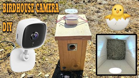 BIRDHOUSE NEST 🐣 WIFI CAMERA EASY DIY SETUP - YouTube