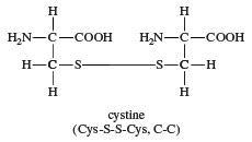 Cystine | Cysteine Metabolism, Protein Synthesis, Antioxidant | Britannica