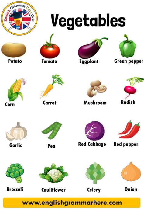 English Vegetables Names, Definition and Examples VEGETABLES VOCABULARY ...