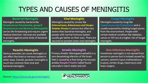 Viral Meningitis Virus